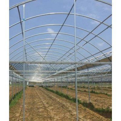 Hot Sale Solar Agricultural Greenhouse Structure Plastic Film Multi Span Greenhouse